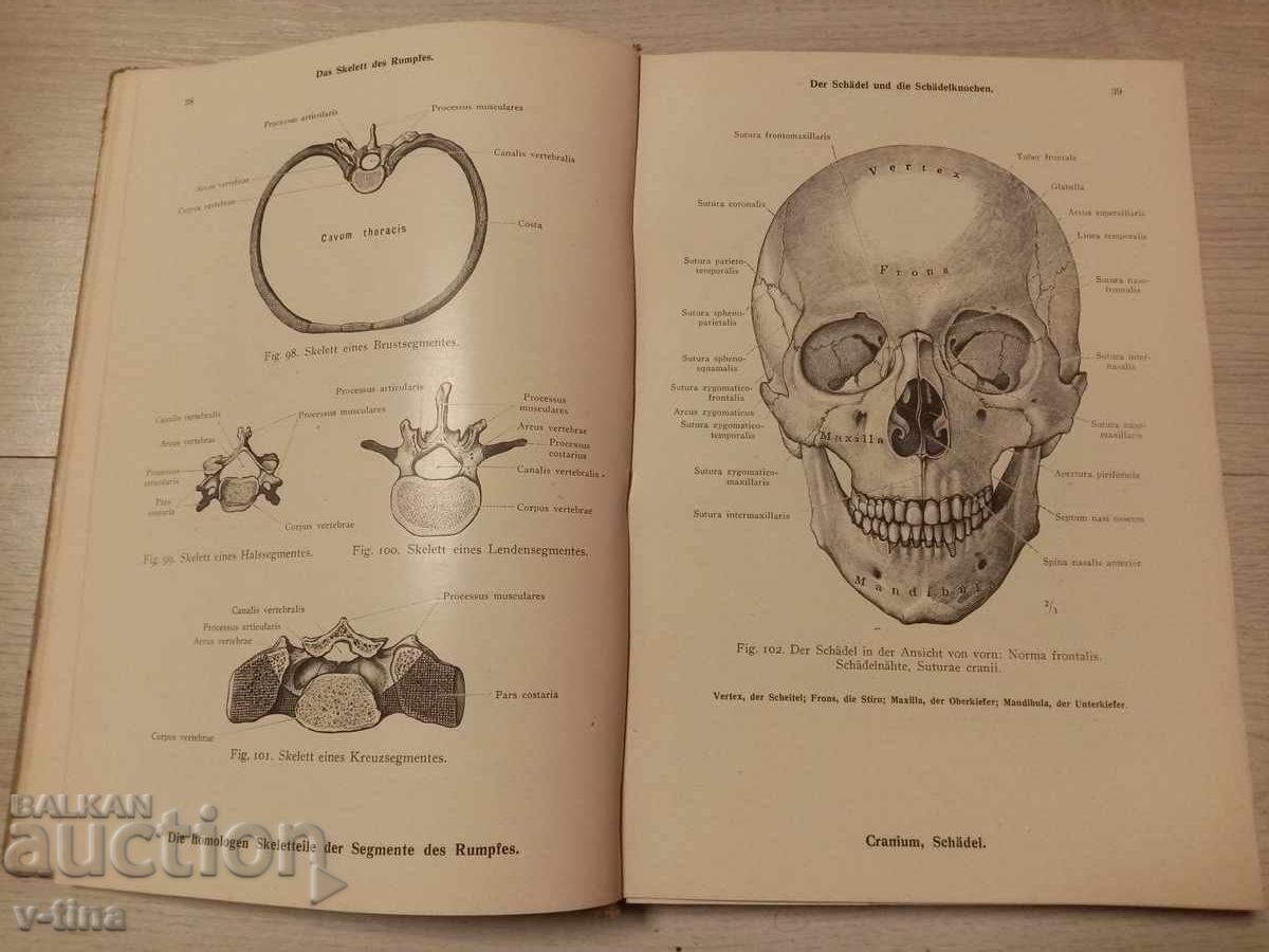 Доставка на Анатомичен Атлас немски медицина лекар