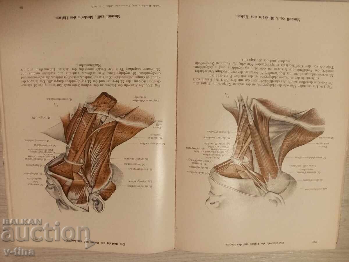 Анатомичен Атлас немски медицина лекар - 5