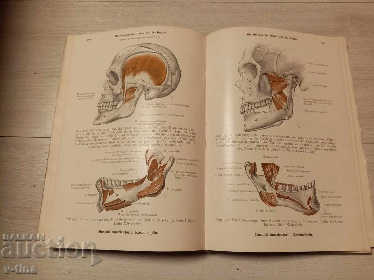 Анатомичен Атлас немски медицина лекар - 6
