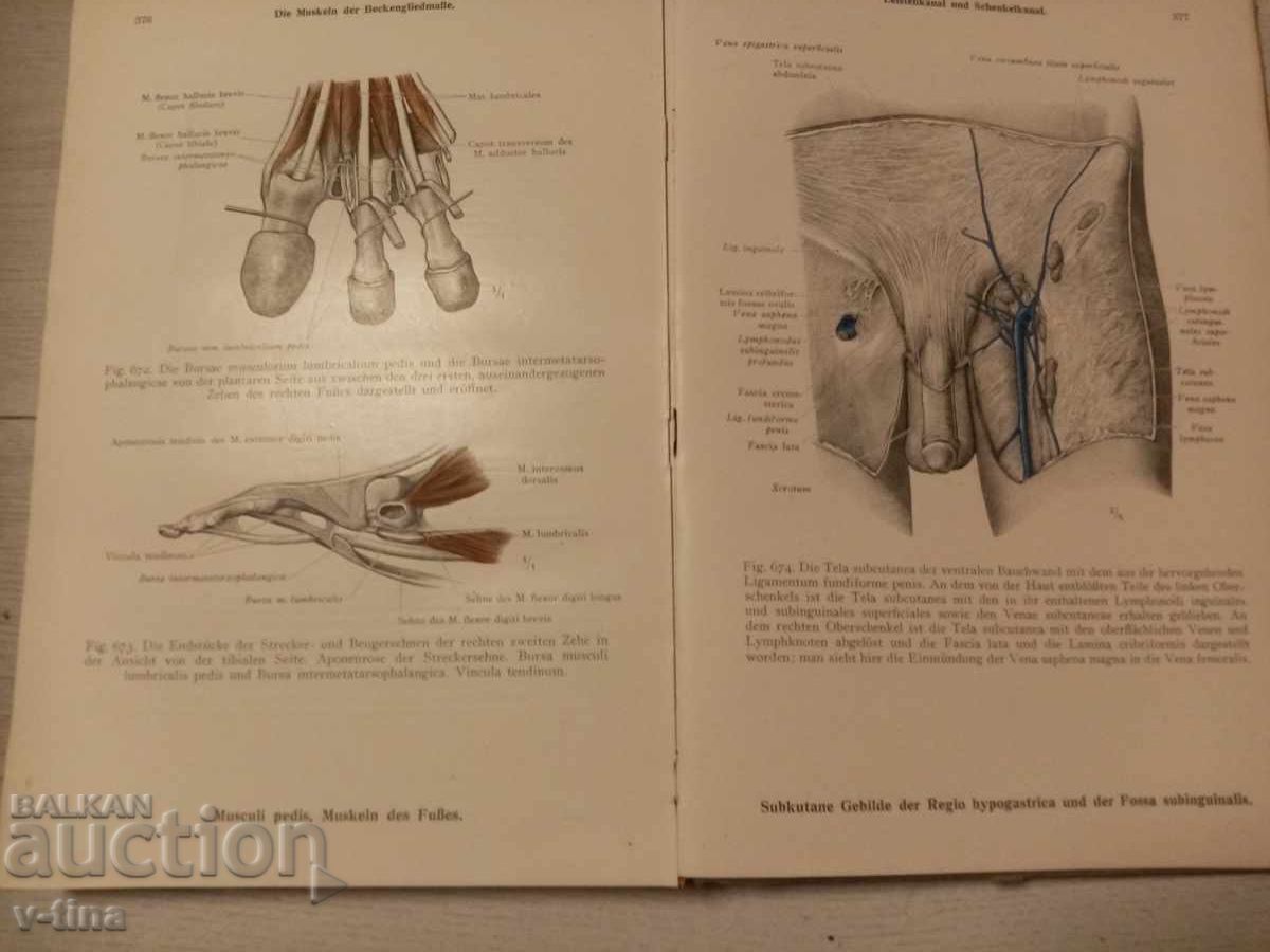 Анатомичен Атлас немски медицина лекар - 7