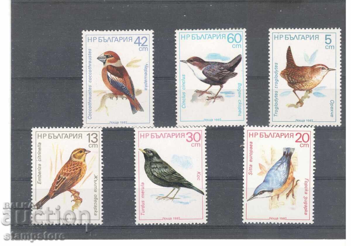 Birds