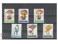 Ядливи гъби