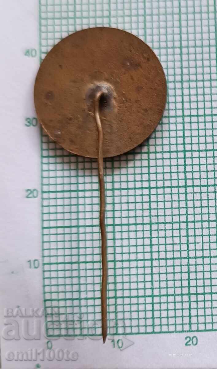 Emblemă - 20 de ani Ștafeta Sportului Popular - 5