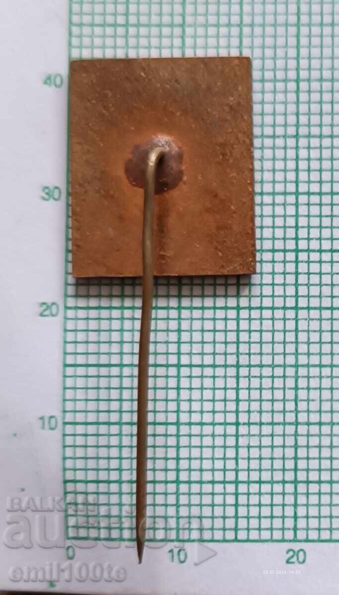 Insigna - Agromașinaimpex Bulgaria - 5