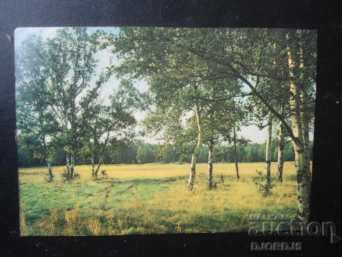 Peisaj, Carte poștală veche