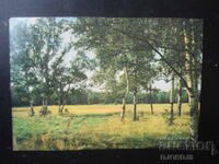 Peisaj, Carte poștală veche