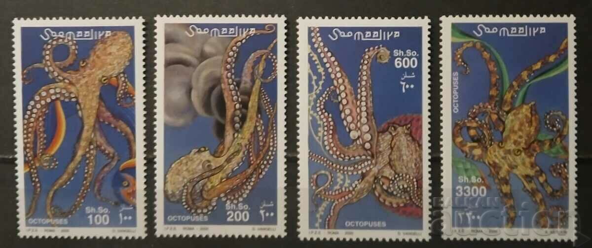Somalia 2000 Fauna/Marine Life/Octopus 15.25 € MNH Somalia 2000 Fauna/Marine Life/Octopus 15.25 € MNH