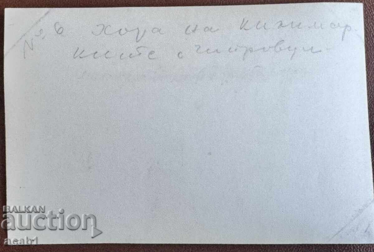 Χώρα στις Κιλίμικες Τσιπροβτσί με τιμή € 9.99 | 19.54 BGN