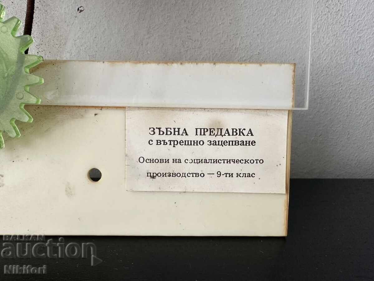 Соц Учебно Помагало Макет Модел Разрез с цена € 28.00 | 54.76 лв.