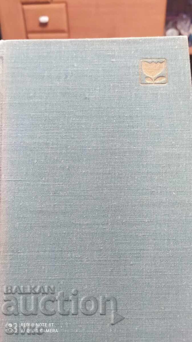 Licitație Între oameni, Universitățile mele, Maxim Gorki