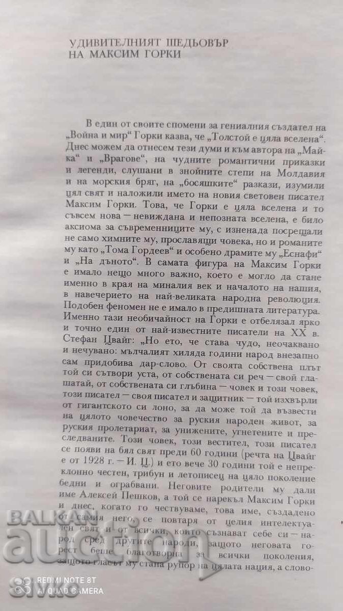 Între oameni, Universitățile mele, Maxim Gorki - 5