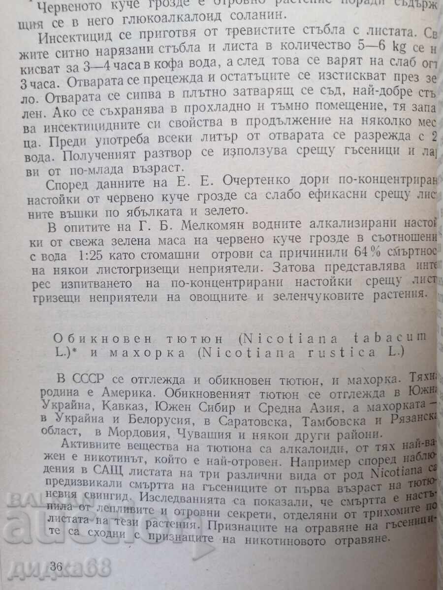 Растения защитават растения / А. Н. Васина - 5 Растения защитават растения / А. Н. Васина - 5