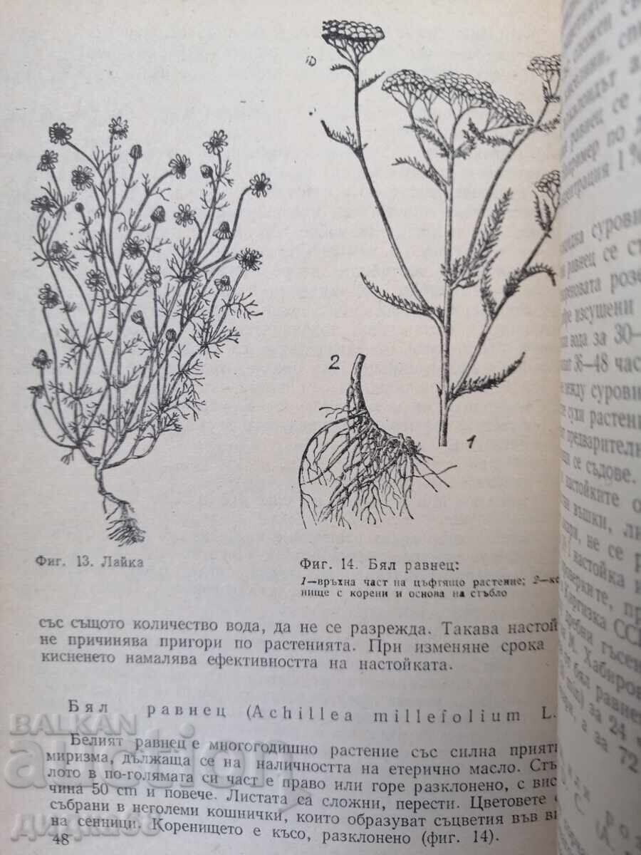 Растения защитават растения / А. Н. Васина - 7 Растения защитават растения / А. Н. Васина - 7