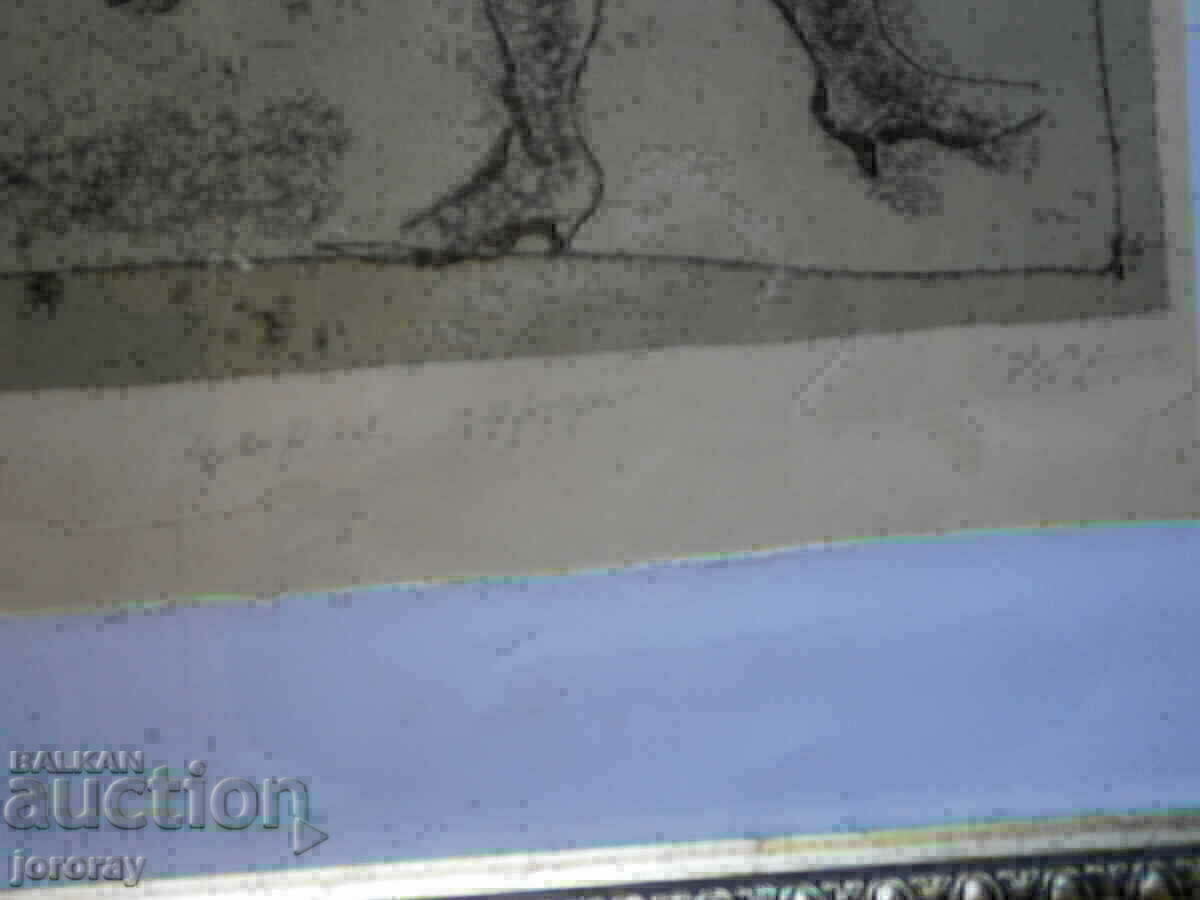 Livrarea A. Litografia Neikov