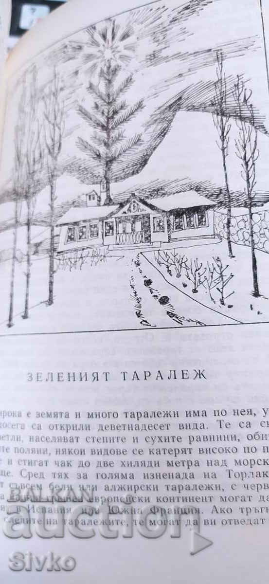 Как така, Йордан Радичков, илюстрации - 7