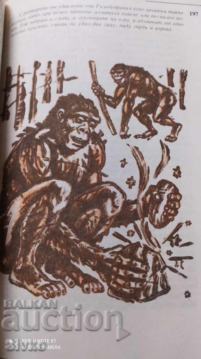 Δημοπρασία Όταν ο άνθρωπος δεν υπήρχε, Δημήτρης Άγγελος, πολλές εικονογραφήσεις