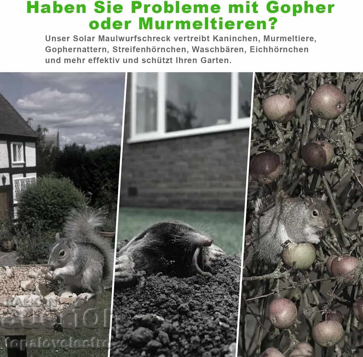 Аукцион Соларен ултразвуков уред против къртици и гризачи – комплект