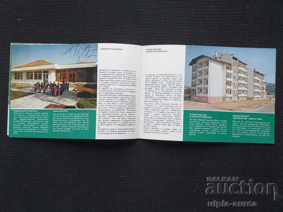 Auction Social Brochure Nevestino Auction Social Brochure Nevestino