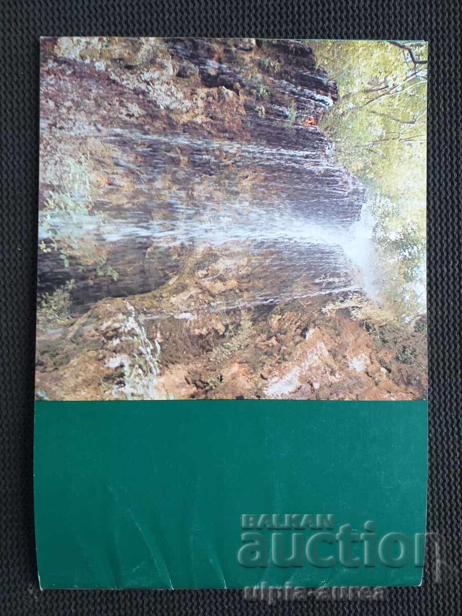 Social Brochure Nevestino - 5 Social Brochure Nevestino - 5