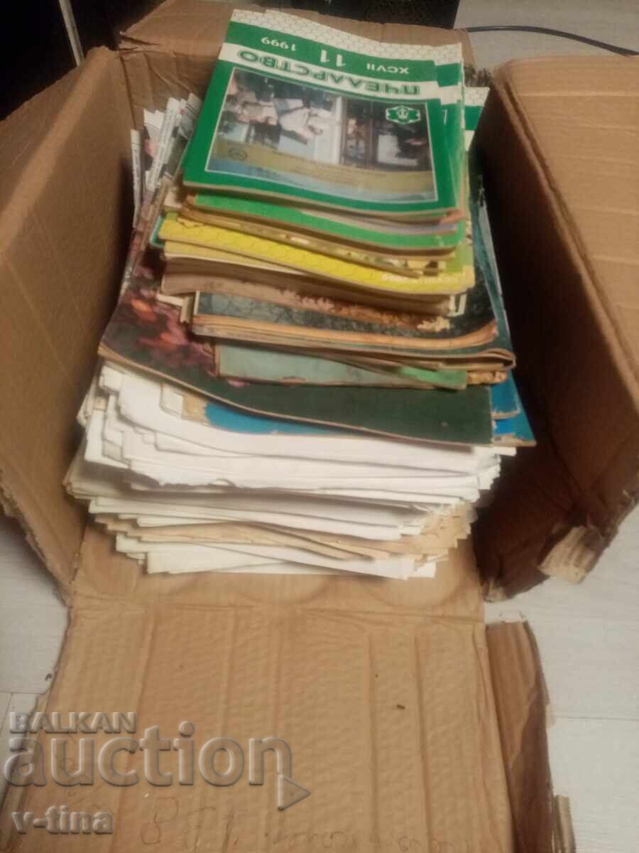 233 pcs Beekeeping Honeybee Bees and Hive - 7