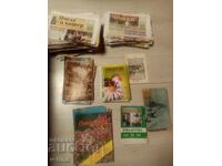 233 pcs Beekeeping Honeybee Bees and Hive