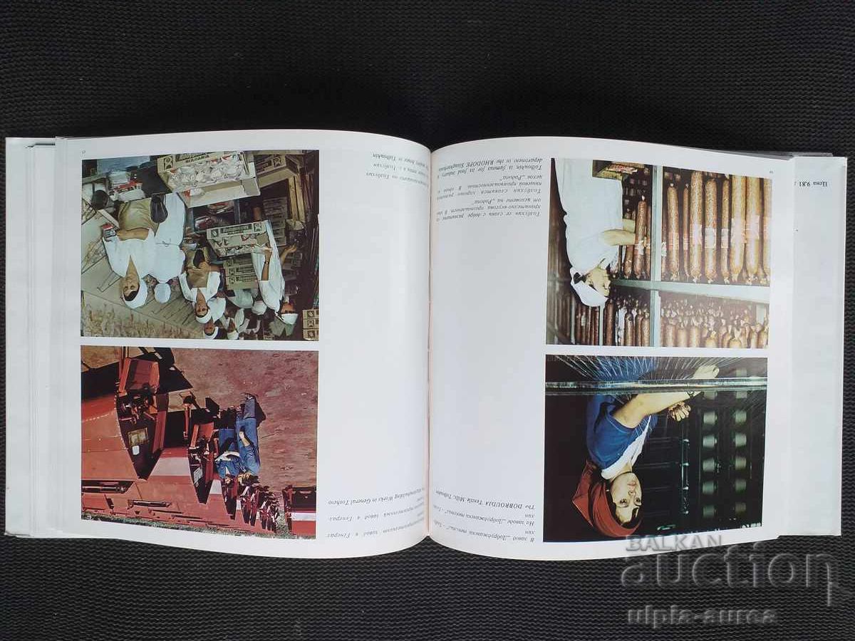 Аукцион Толбухински.окръг Аукцион Толбухински.окръг