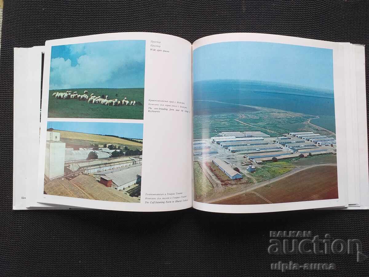 Толбухински.окръг - 7 Толбухински.окръг - 7