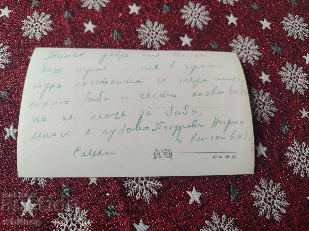 Cazan 3 cu preț € 1.99 | 3.89 BGN