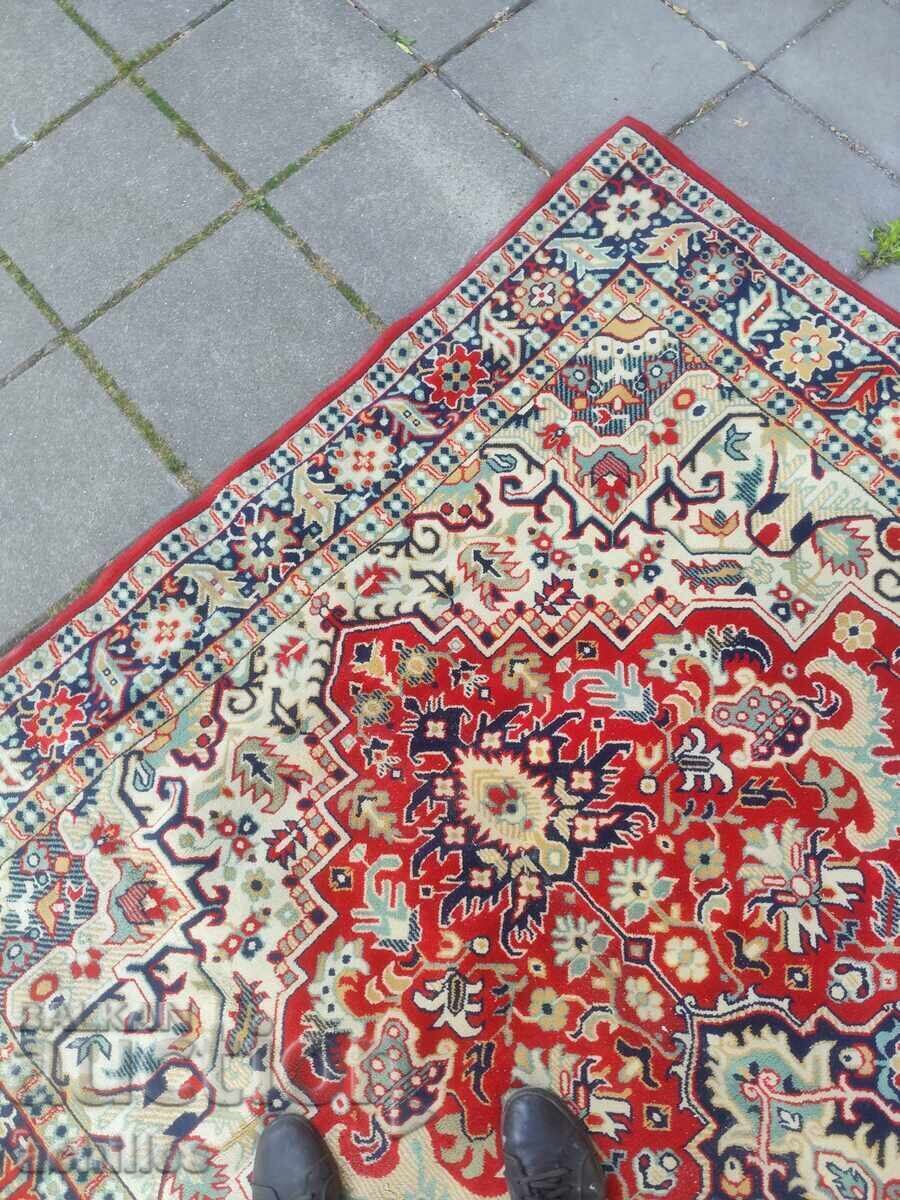 Persian Rug - 5 Persian Rug - 5