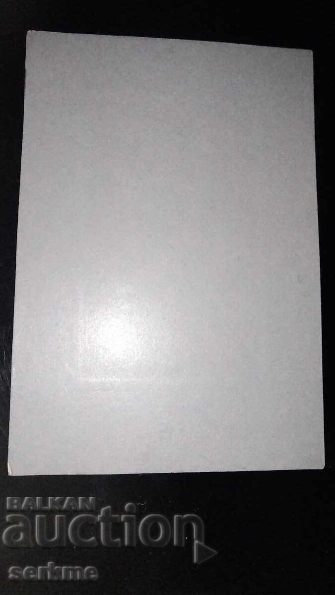 Licitație fotografie veche Licitație fotografie veche