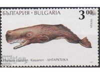 Καθαρές γραμματόσημες Πανίδας Αρκτικών Ειδών Φάλαινα 1995 από Βουλγαρία