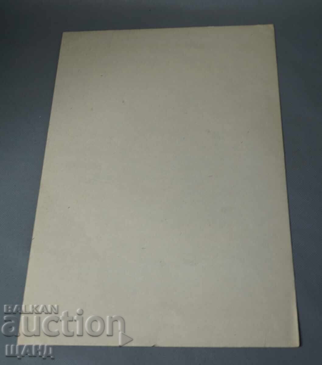 Стара Майсторска рисунка молив портрет с цена € 1.75 | 3.42 лв.