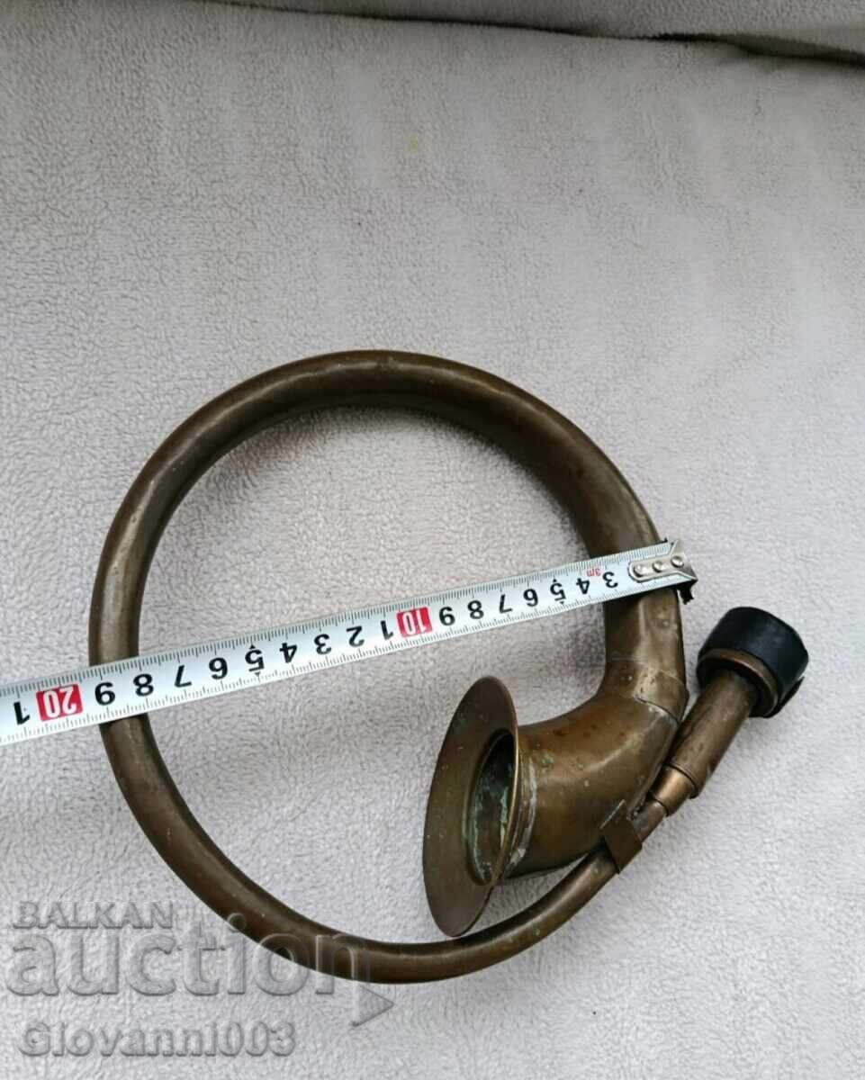 Auction  Old thrombus