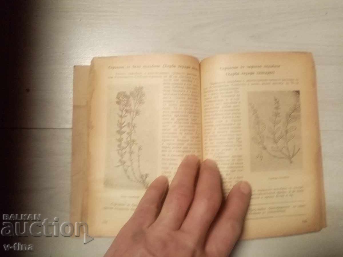 Аукцион Наръчник по билкосъбиране Аукцион Наръчник по билкосъбиране