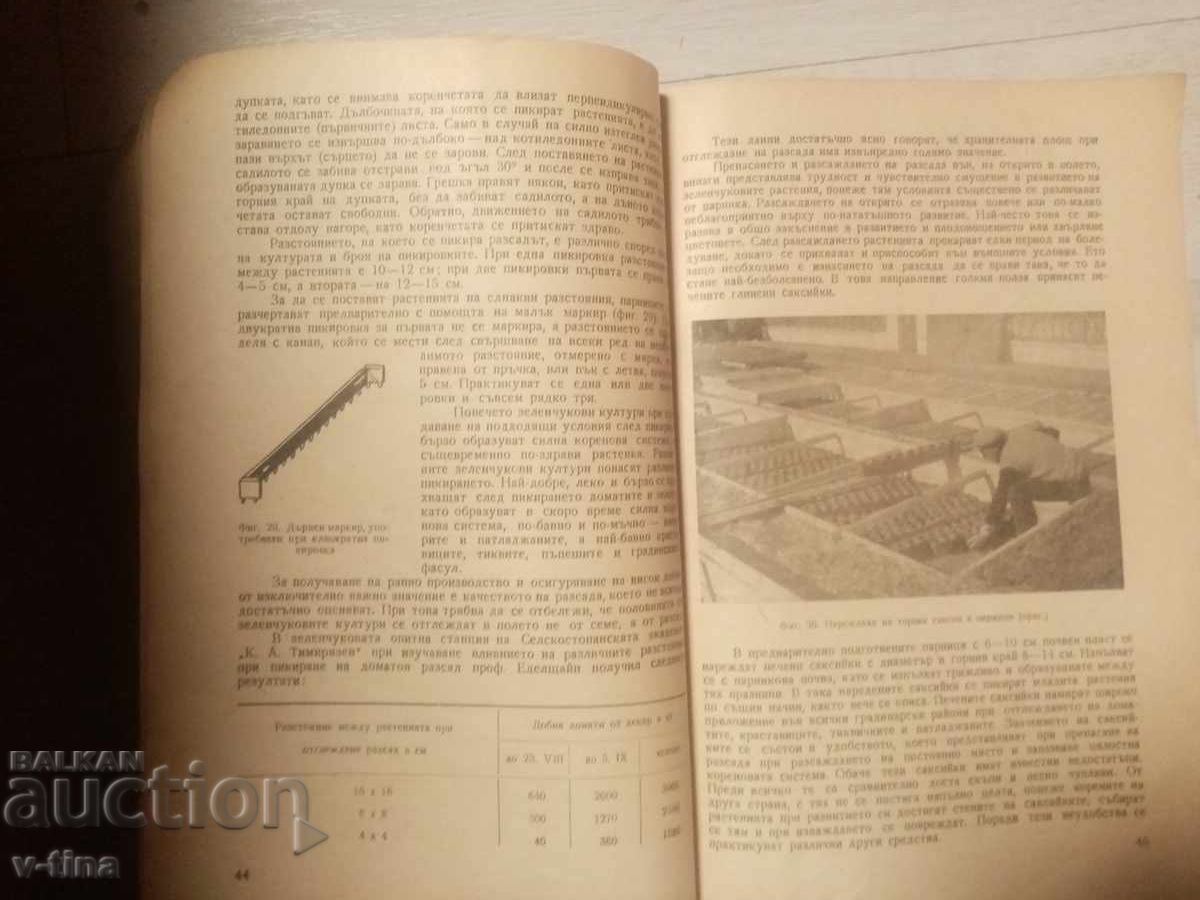 Θερμοκηπιακή και υπαίθρια καλλιέργεια λαχανικών Χρ. ΔΑΣΚΑΛΟΦ - 5