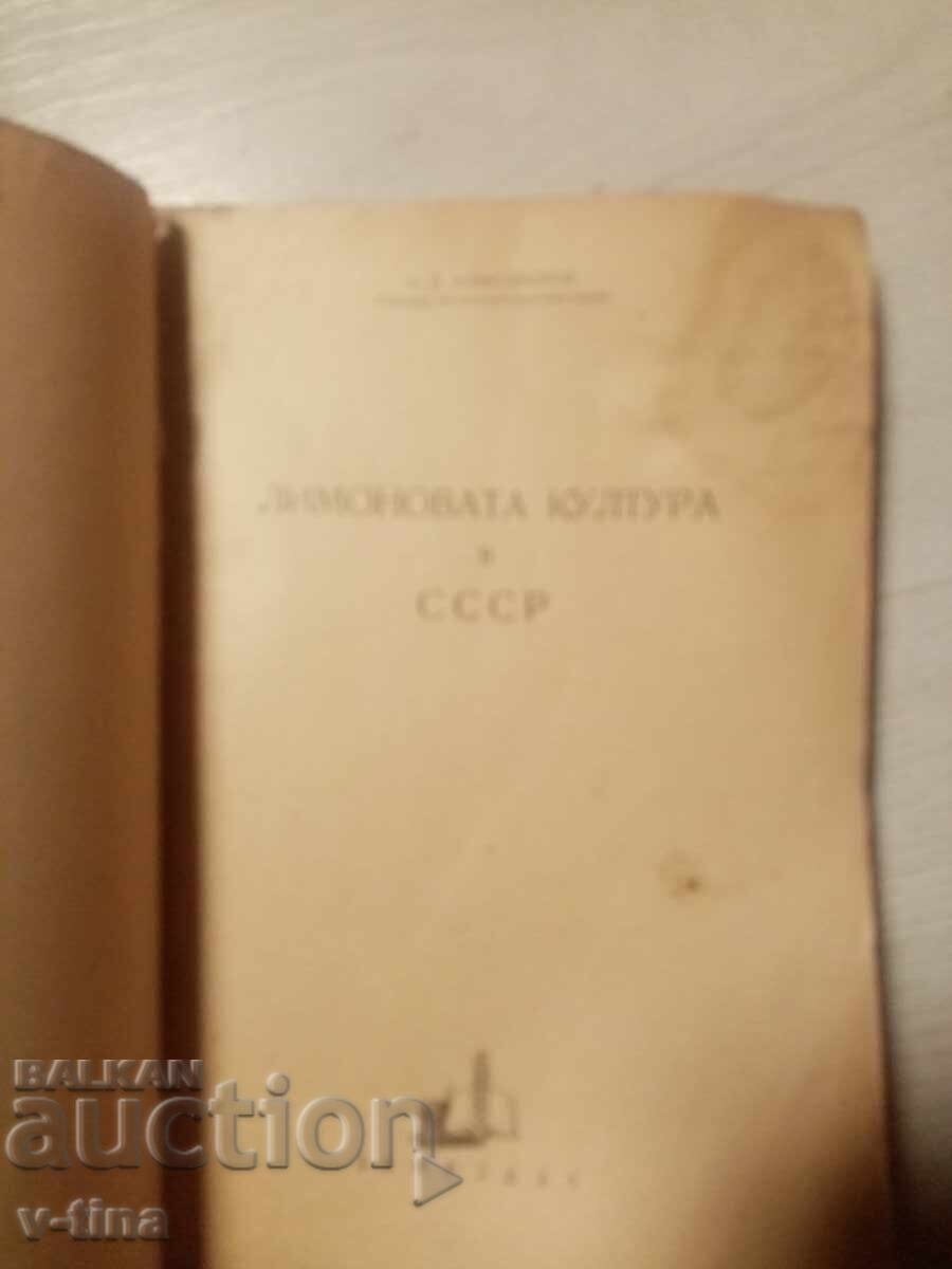 Η Λεμονιά του Σοβιετικού Κράτους Α.Δ.Αλεξανδρώφ με τιμή € 0.01 | 0.02 BGN