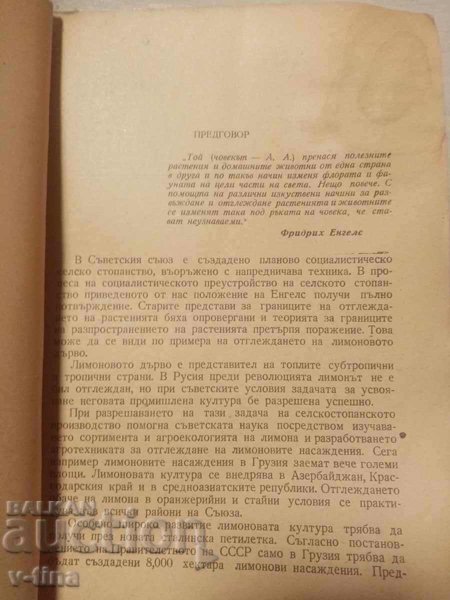 Δημοπρασία Η Λεμονιά του Σοβιετικού Κράτους Α.Δ.Αλεξανδρώφ