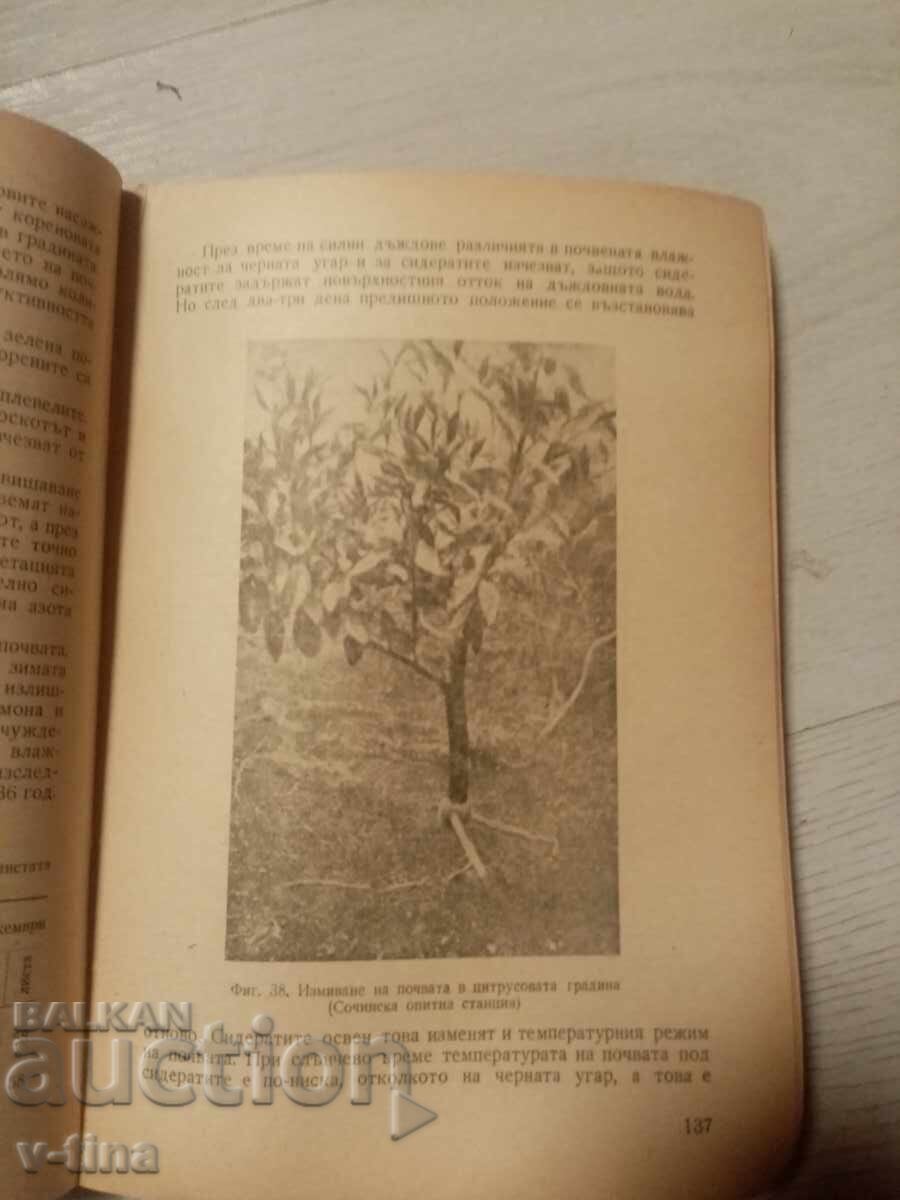 Η Λεμονιά του Σοβιετικού Κράτους Α.Δ.Αλεξανδρώφ - 5