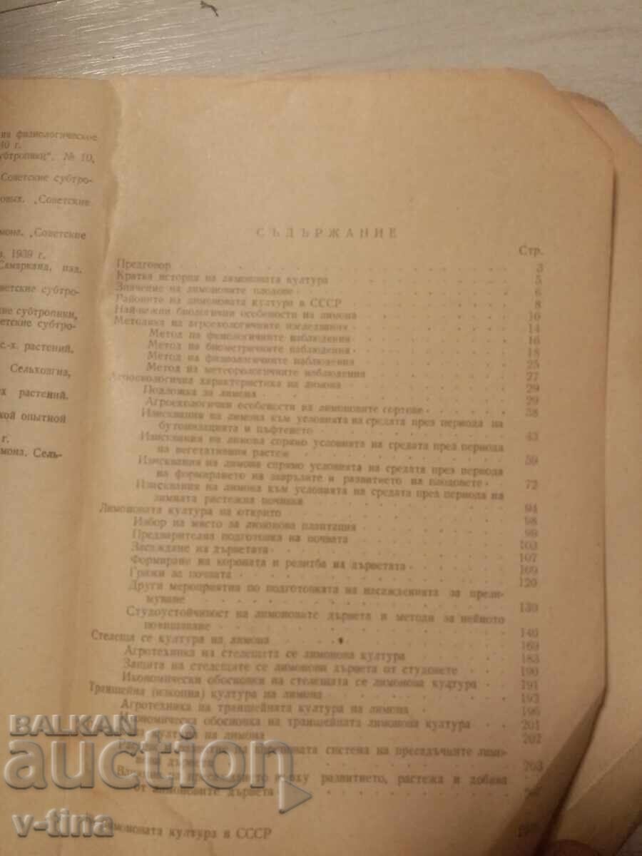 Η Λεμονιά του Σοβιετικού Κράτους Α.Δ.Αλεξανδρώφ - 6