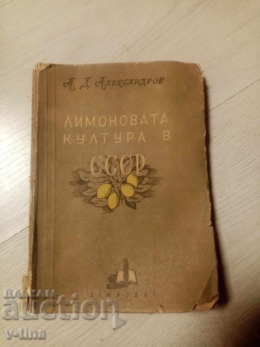 Η Λεμονιά του Σοβιετικού Κράτους Α.Δ.Αλεξανδρώφ