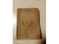 Η Λεμονιά του Σοβιετικού Κράτους Α.Δ.Αλεξανδρώφ