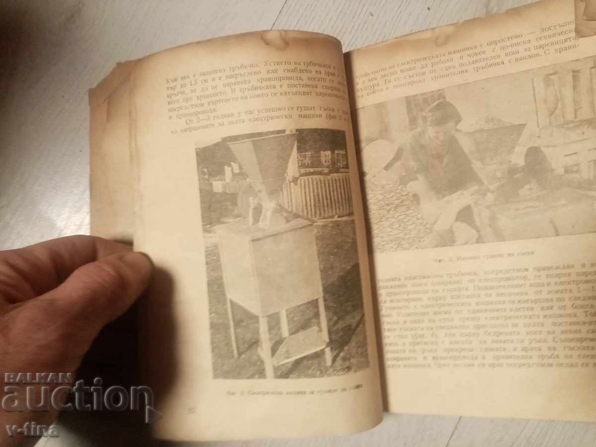 Livrarea Câteva întrebări despre cum să hrănești gâștele pentru a obține pateu Livrarea Câteva întrebări despre cum să hrănești gâștele pentru a obține pateu