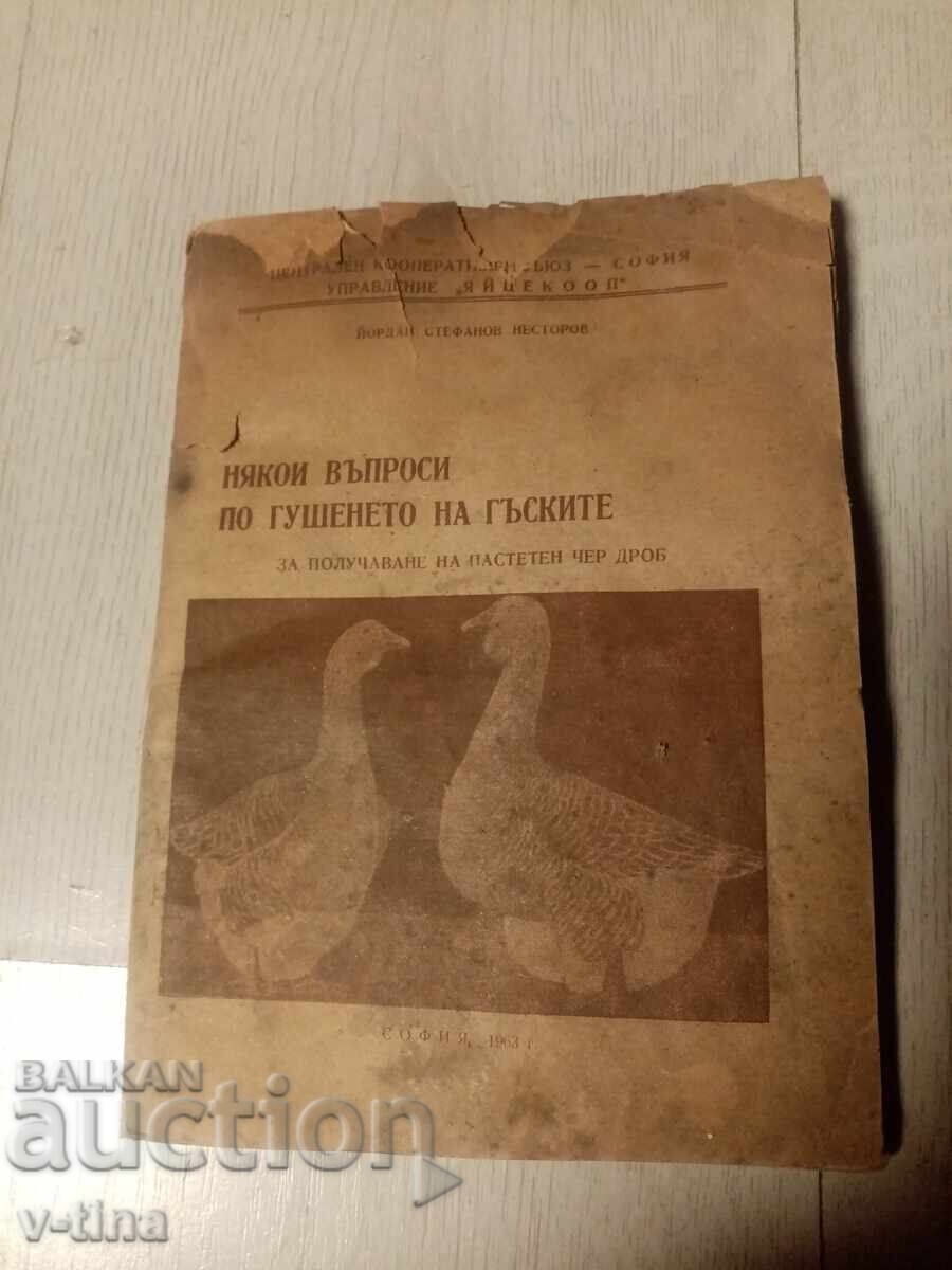 Câteva întrebări despre cum să hrănești gâștele pentru a obține pateu Câteva întrebări despre cum să hrănești gâștele pentru a obține pateu