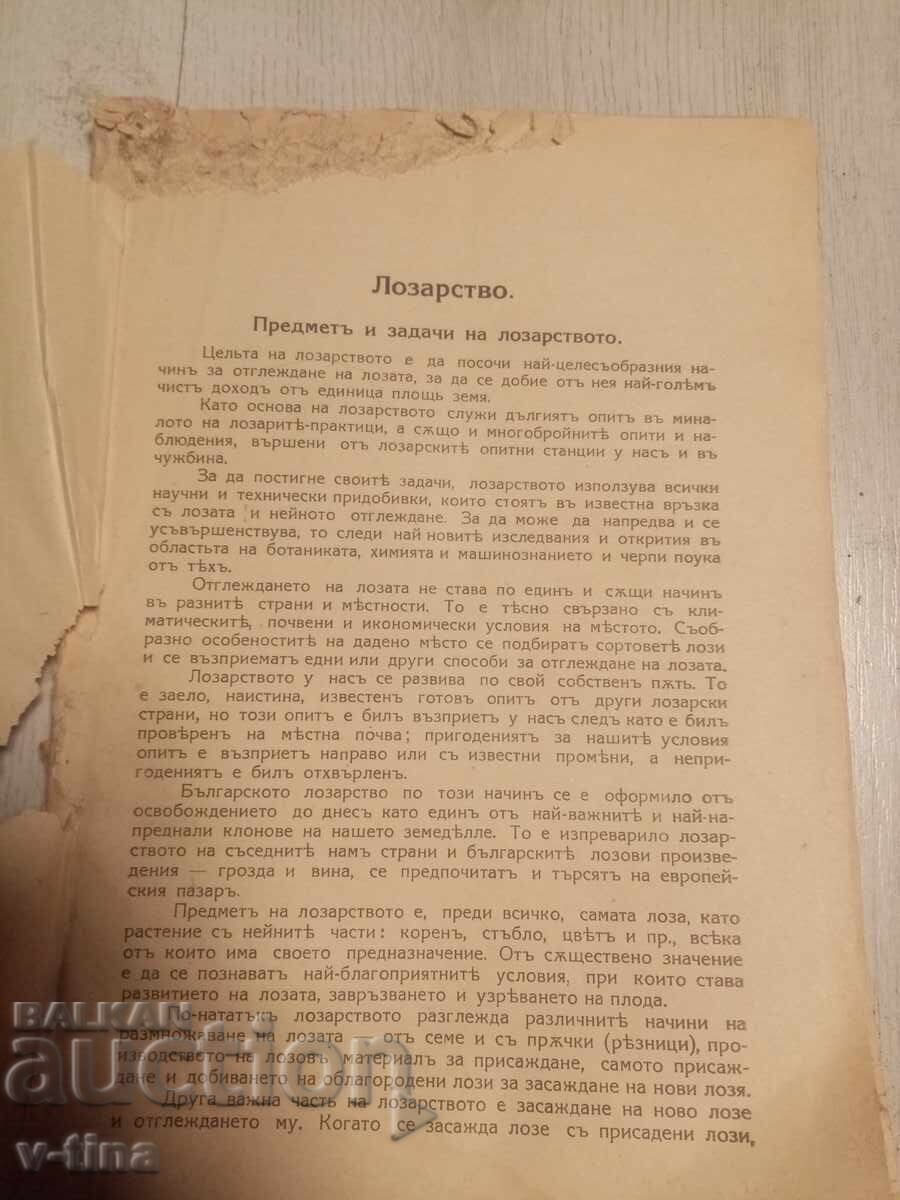 Delivery of VITICULTURE prof. N. Nedelchev 1941