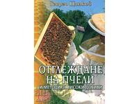 Отглеждане на пчели и методи за високи добиви