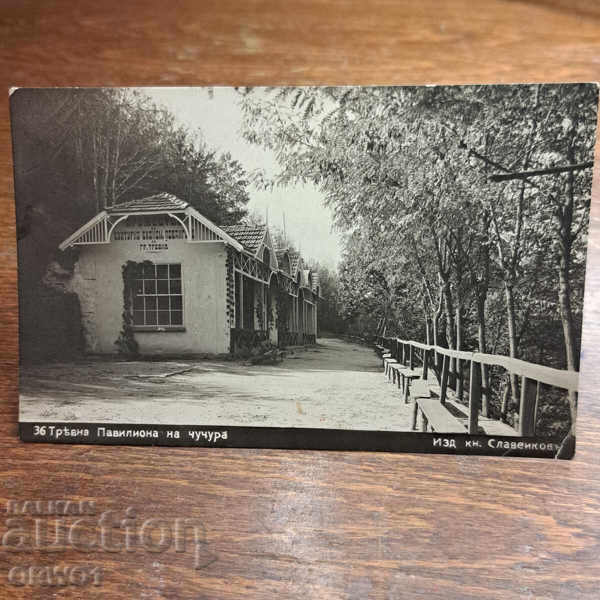 Tryavna 1934 Fotografie pașaport Paskov Regatul Bulgariei