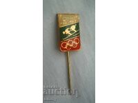 Значка ски - Олимпийски игри Лейк Плесид 1980