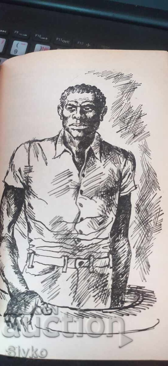 Licitație A ucide o pasăre cântătoare, Harper Lee, multe ilustrații Licitație A ucide o pasăre cântătoare, Harper Lee, multe ilustrații