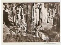 Carte poștală Bulgaria Peștera "Ledenika" 7*