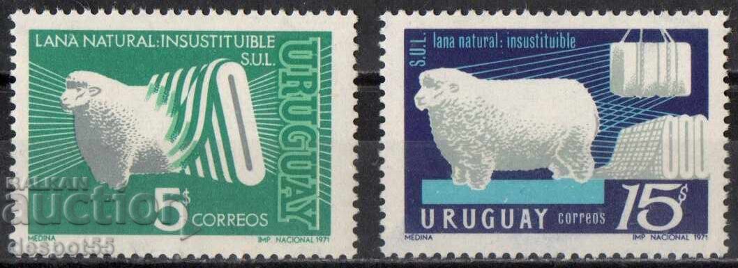 1971. Ουρουγουάη. Παραγωγή μαλλιού